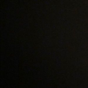 Meet your Posher, Niloo